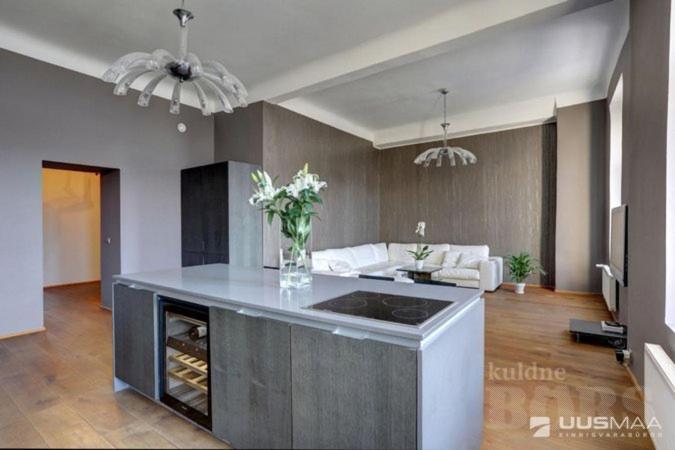 Old Town Apartment Pärnu Kültér fotó
