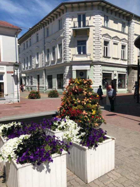 Old Town Apartment Pärnu Kültér fotó